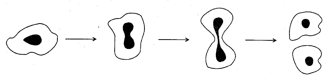 Figure for question 37