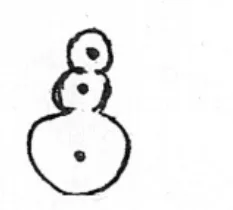 Figure for question 36