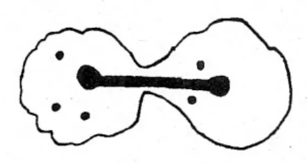Figure for question 37