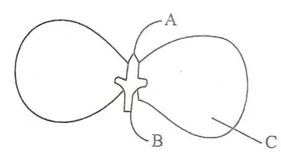 Figure for question 42