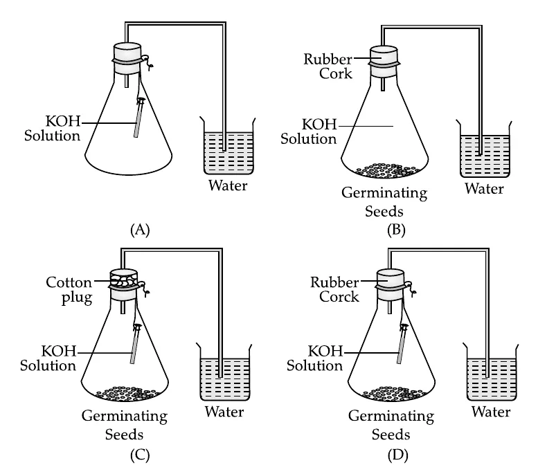 Figure for question 32