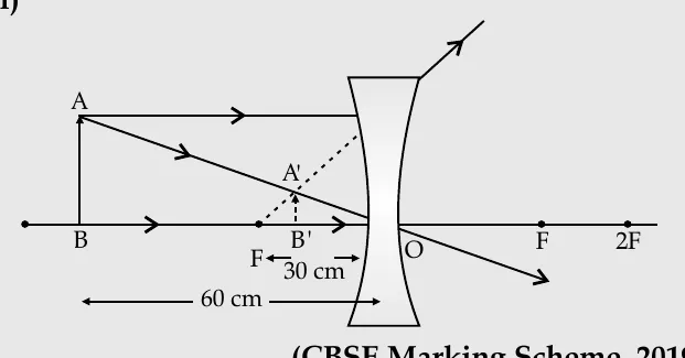 Figure for question 19