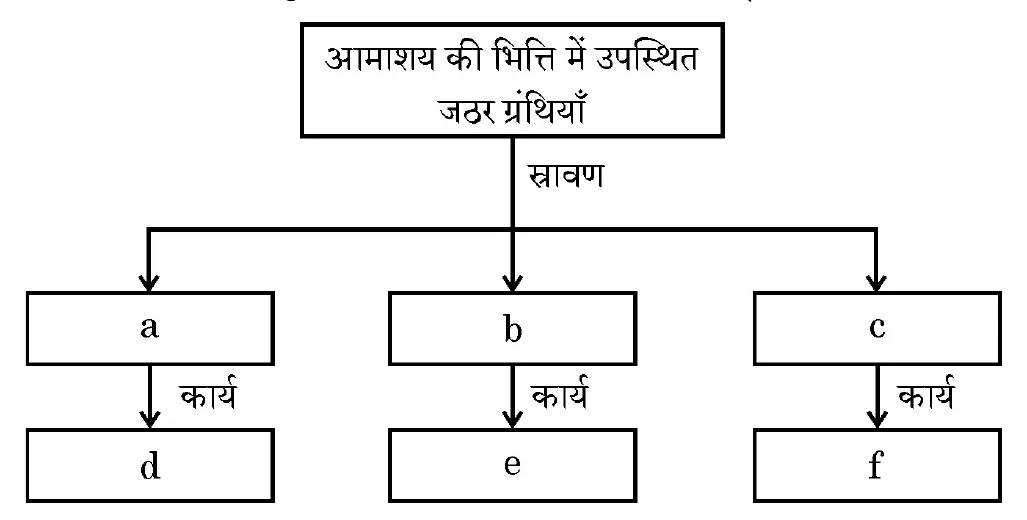Figure for question 19