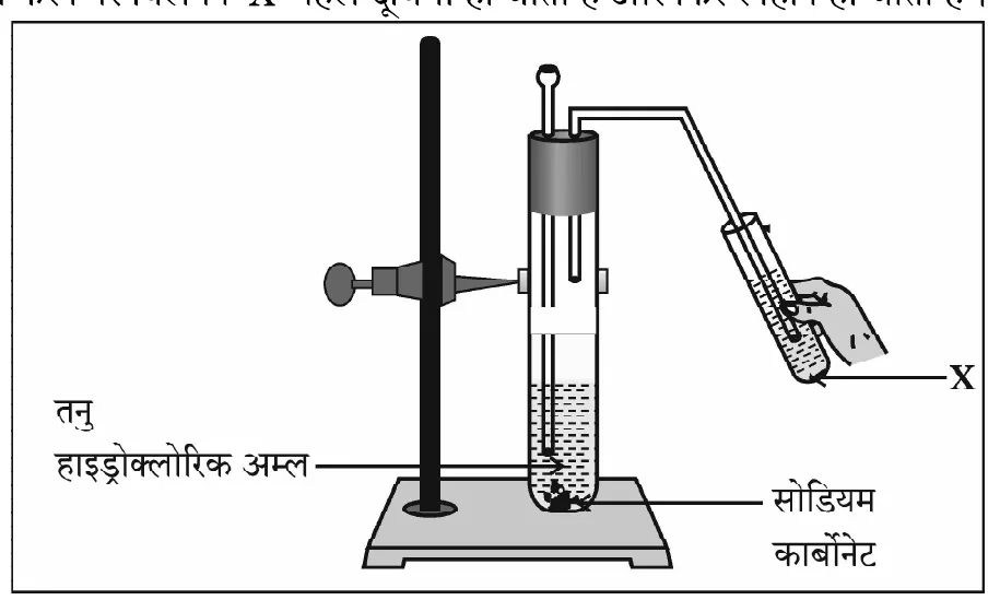 Figure for question 1