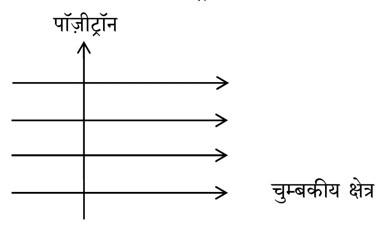 Figure for question 16