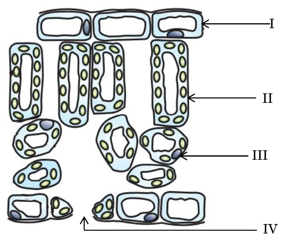 Figure for question 9