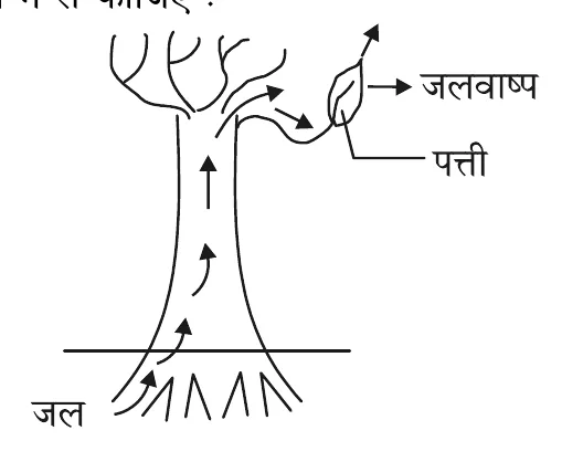 Figure for question 8
