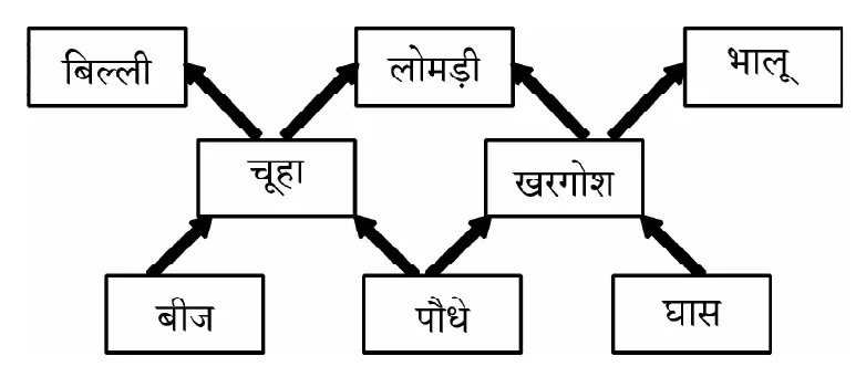 Figure for question 10