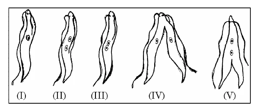 Figure for question 11