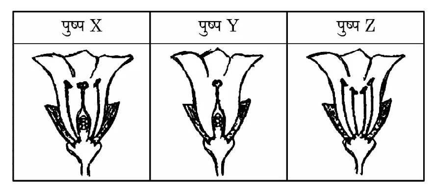 Figure for question 14