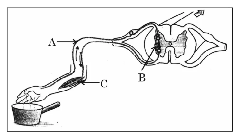 Figure for question 29