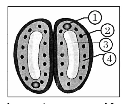 Figure for question 5