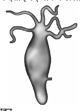 Figure for question 11