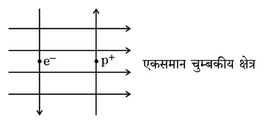 Figure for question 15