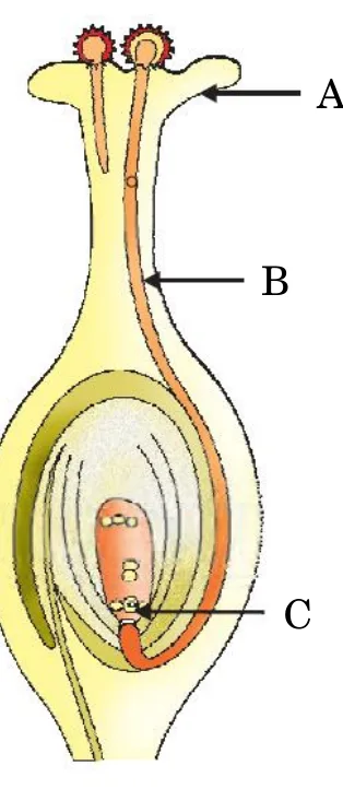Figure for question 35