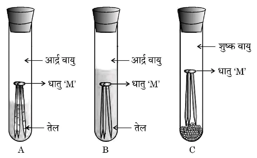 Figure for question 28