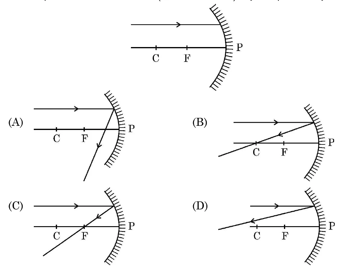 Figure for question 13