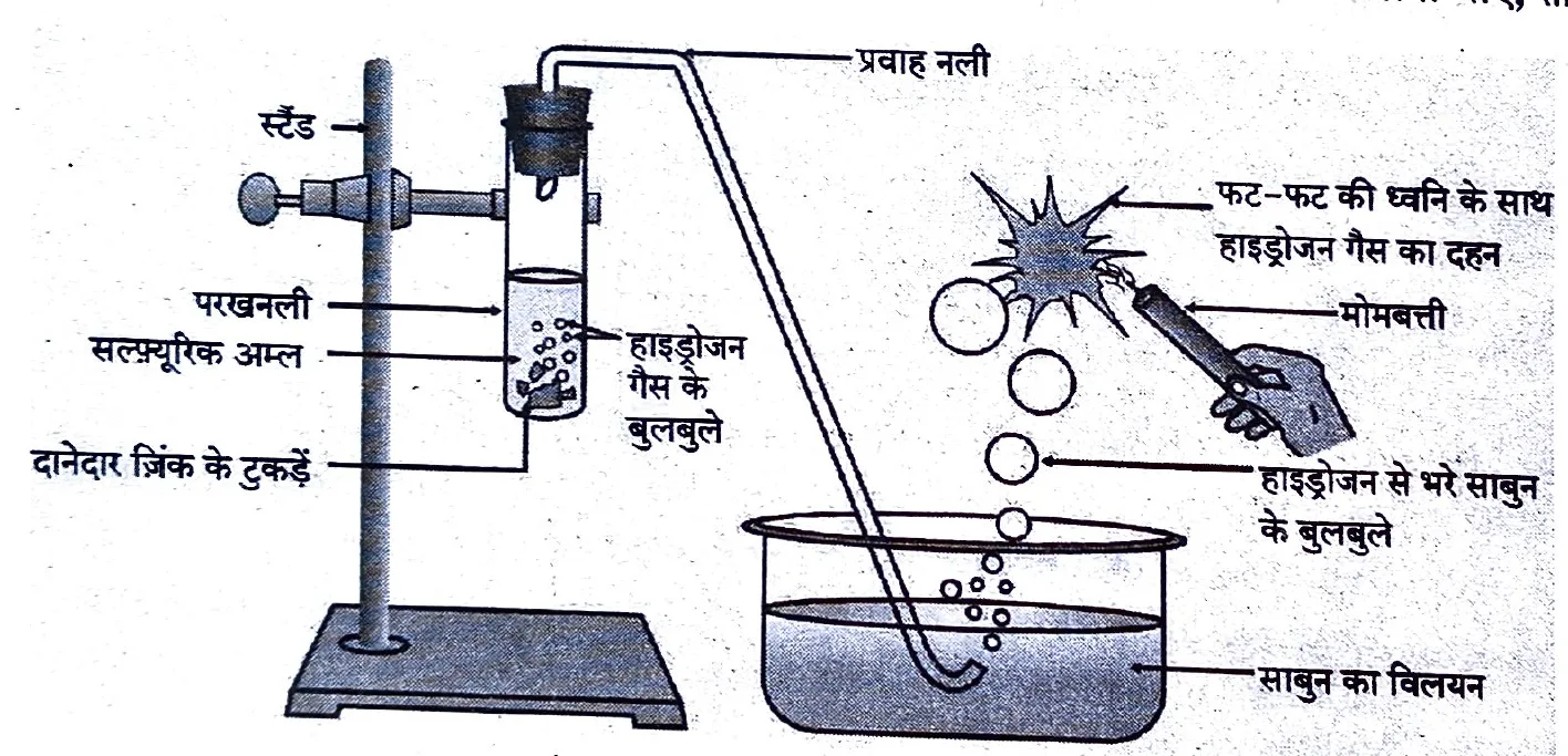 Figure for question 19