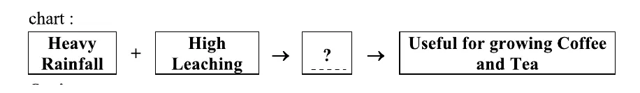 Flow chart diagram: 'Heavy Rainfall' + 'High Leaching' → '?' (blank box) → 'Useful for growing Coffee and Tea'.
