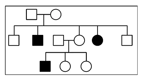 Pedigree chart for inheritance pattern analysis